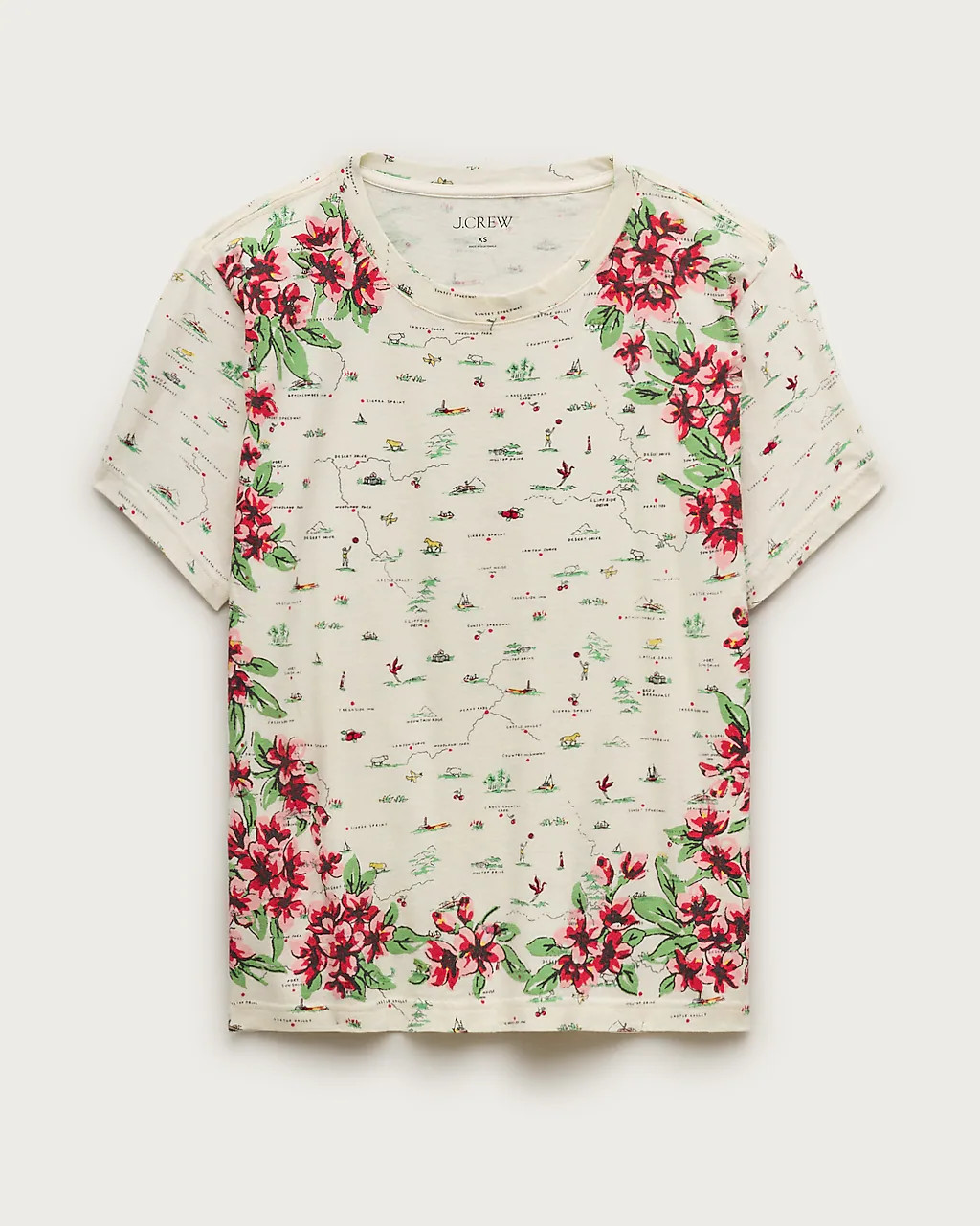 Broken-in jersey relaxed-fit map graphic T-shirt | J. Crew US
