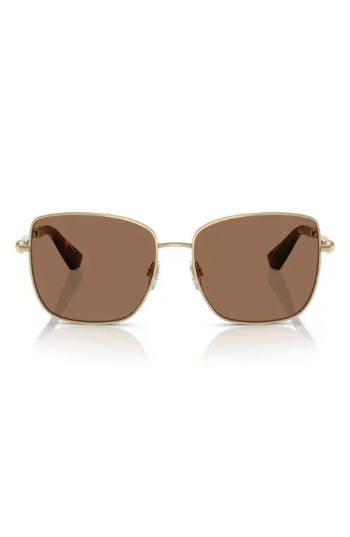 burberry 58mm Square Sunglasses in Dark Brown at Nordstrom | Nordstrom
