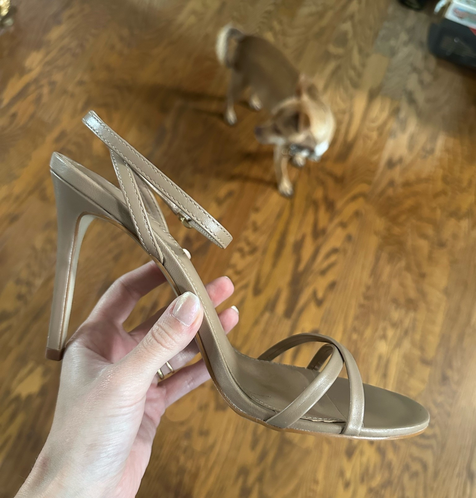 The most comfortable nude leather heeled sandal 

I get my typical size & now have these in two colors 

Wedding guest outfit | wedding guest shoe | nude sandal | fall wedding | heels | shoes