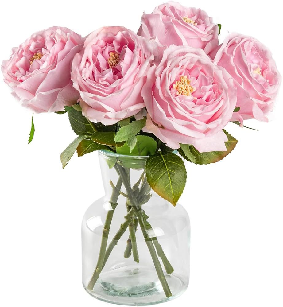 DuHouse 5Pcs Silk Roses Fake Pink Roses with Stems Real Touch Rose Artificial Flowers for Arrange... | Amazon (US)