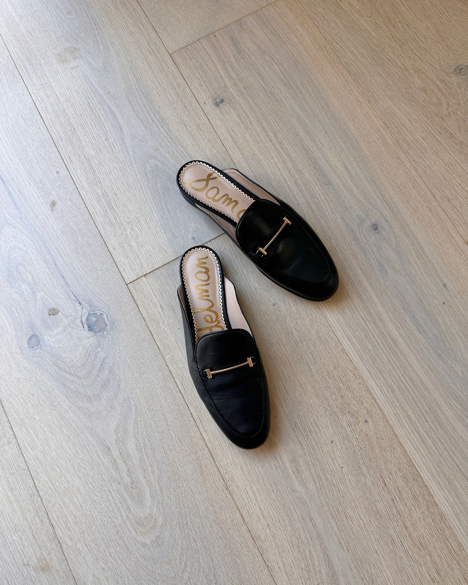 Black mules for fall! Fit true to size! 

#LTKWorkwear #LTKShoeCrush #LTKCon