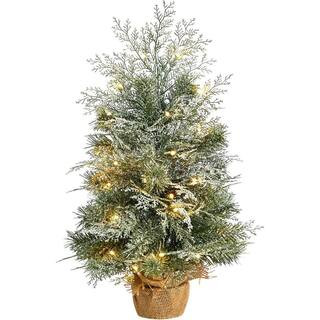 HOME IMPORTS EMPORIUM 2 ft. PreLit Full Classic Pine Artificial Christmas Tree with 35 Warm Clear... | The Home Depot