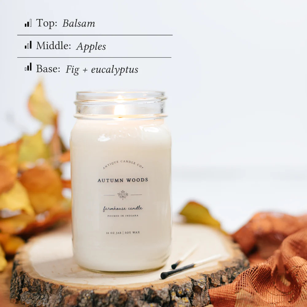 Autumn Woods 16 oz candle | Antique Candle Co.
