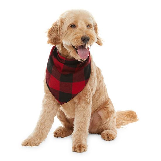 North Pole Trading Co. Buffalo Pet Clothes | JCPenney