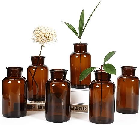Amber Glass Vase, Bud Vases, Apothecary Jars, Decorative Glass Bottles, Small Glass Flower Vases,... | Amazon (US)