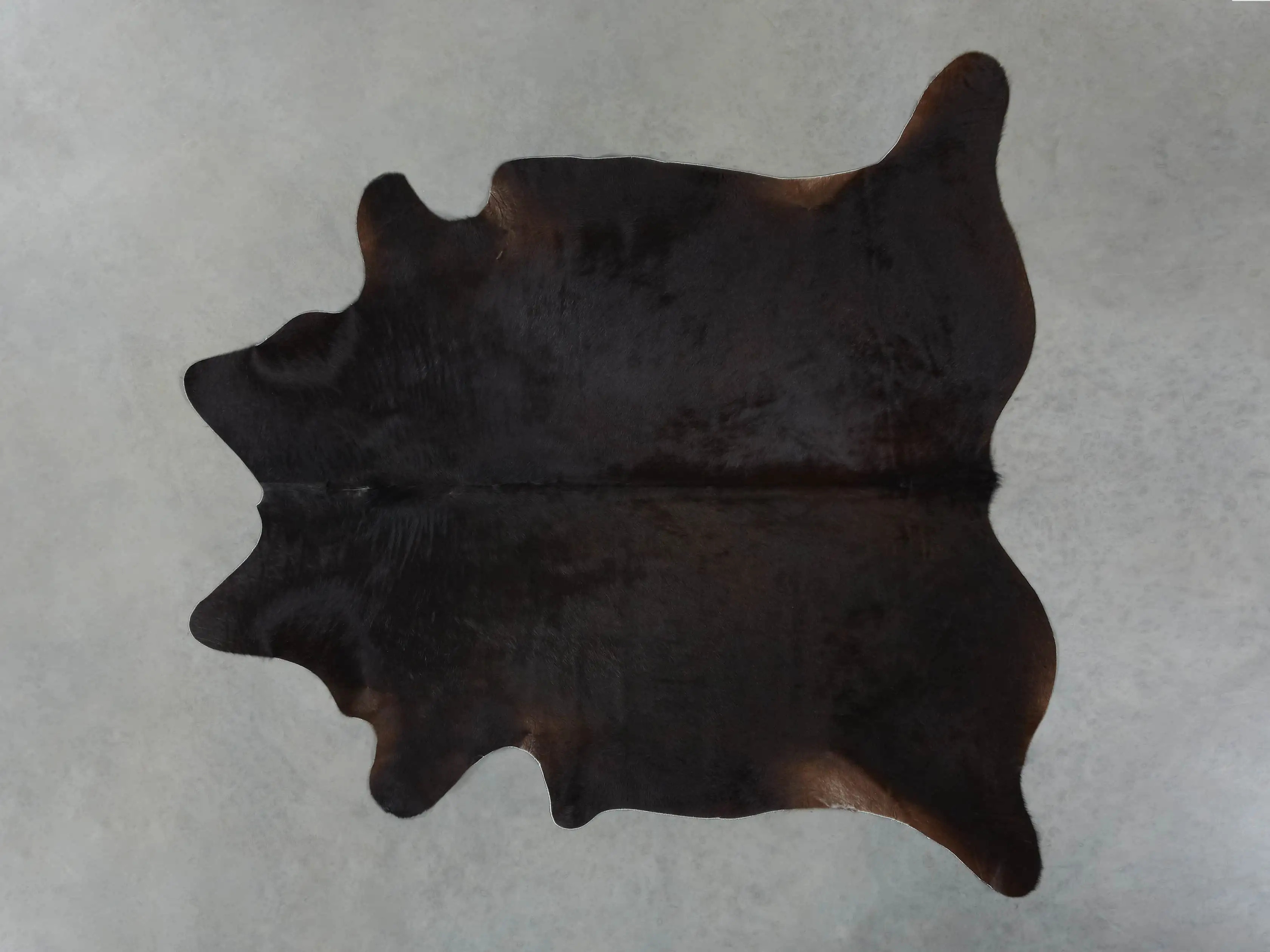 Black Angus Hair on Hide | Arhaus