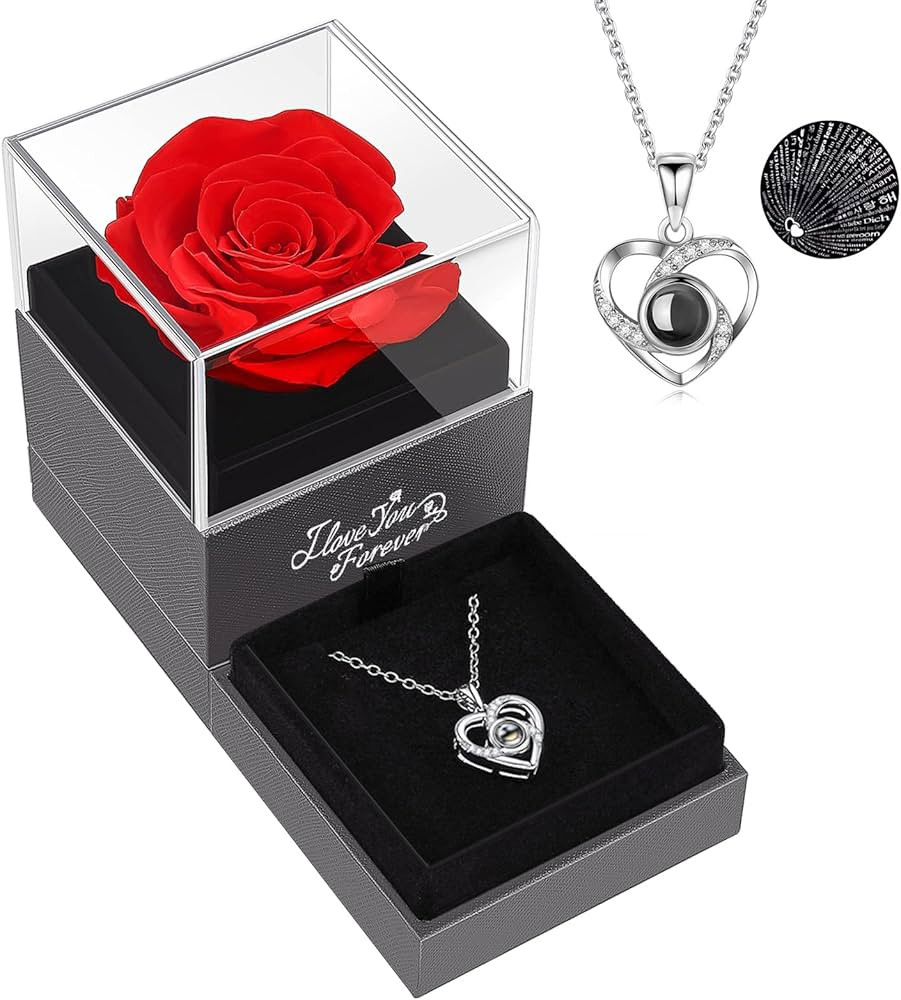 Preserved Red Real Rose with I Love You Necklace in 100 Languages -Eternal Flowers Rose Gifts for... | Amazon (US)