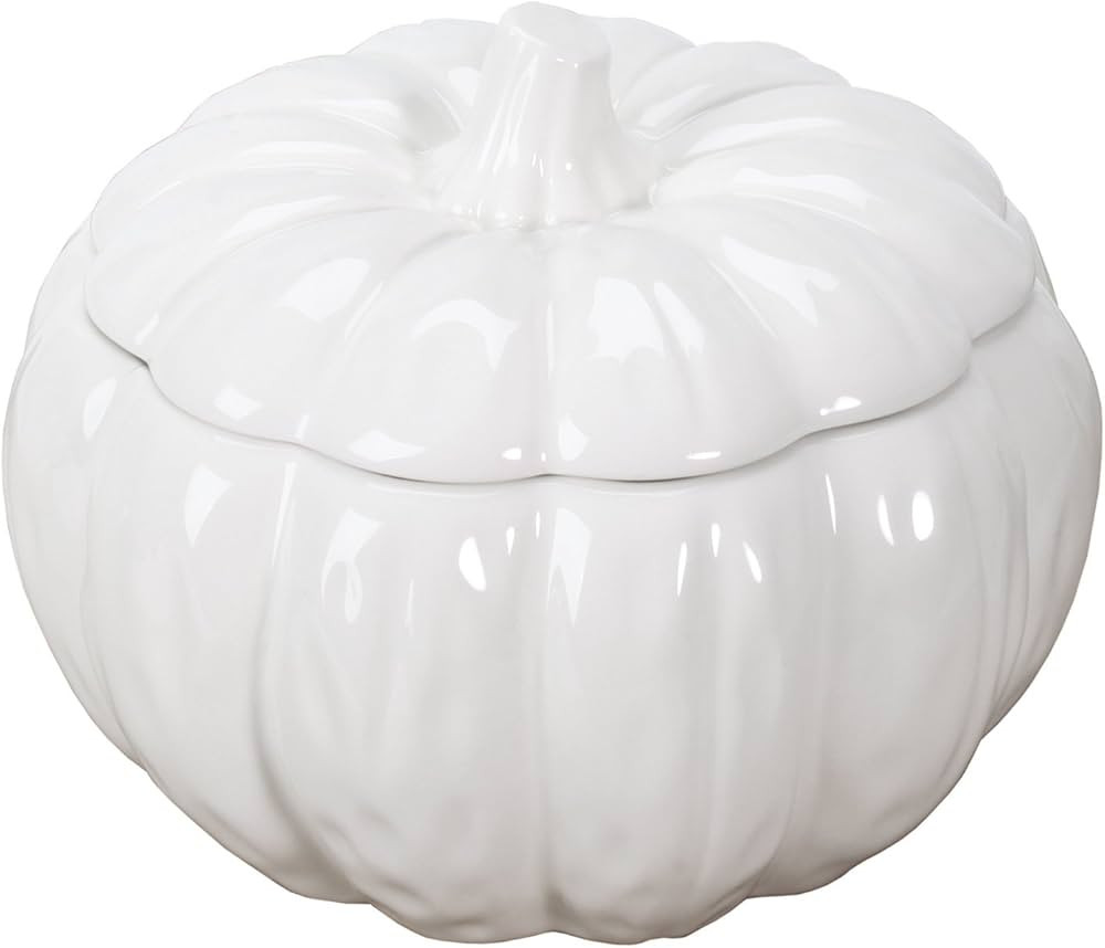 Ceramic Pumpkin Round Soup Bowl Container with Fitting Lid White | Amazon (US)