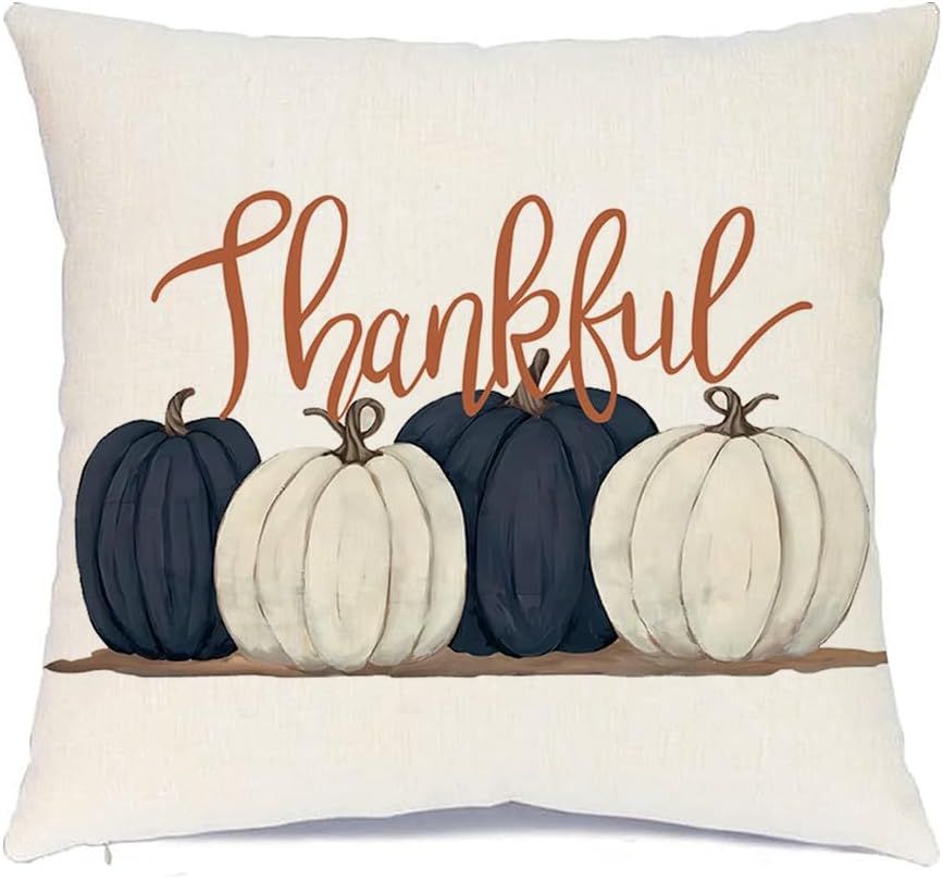 RABUSOFA Fall Pillows Covers 18x18 Inch,Thanksgiving Pumpkins Pillow Decorative Throw Pillows,Dar... | Amazon (US)
