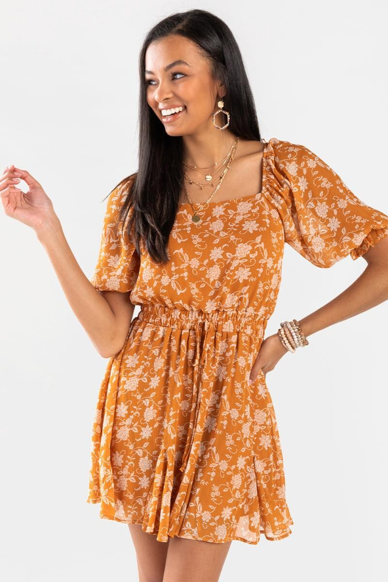 Jen Paisley Peasant Godet Dress | Francesca’s Collections