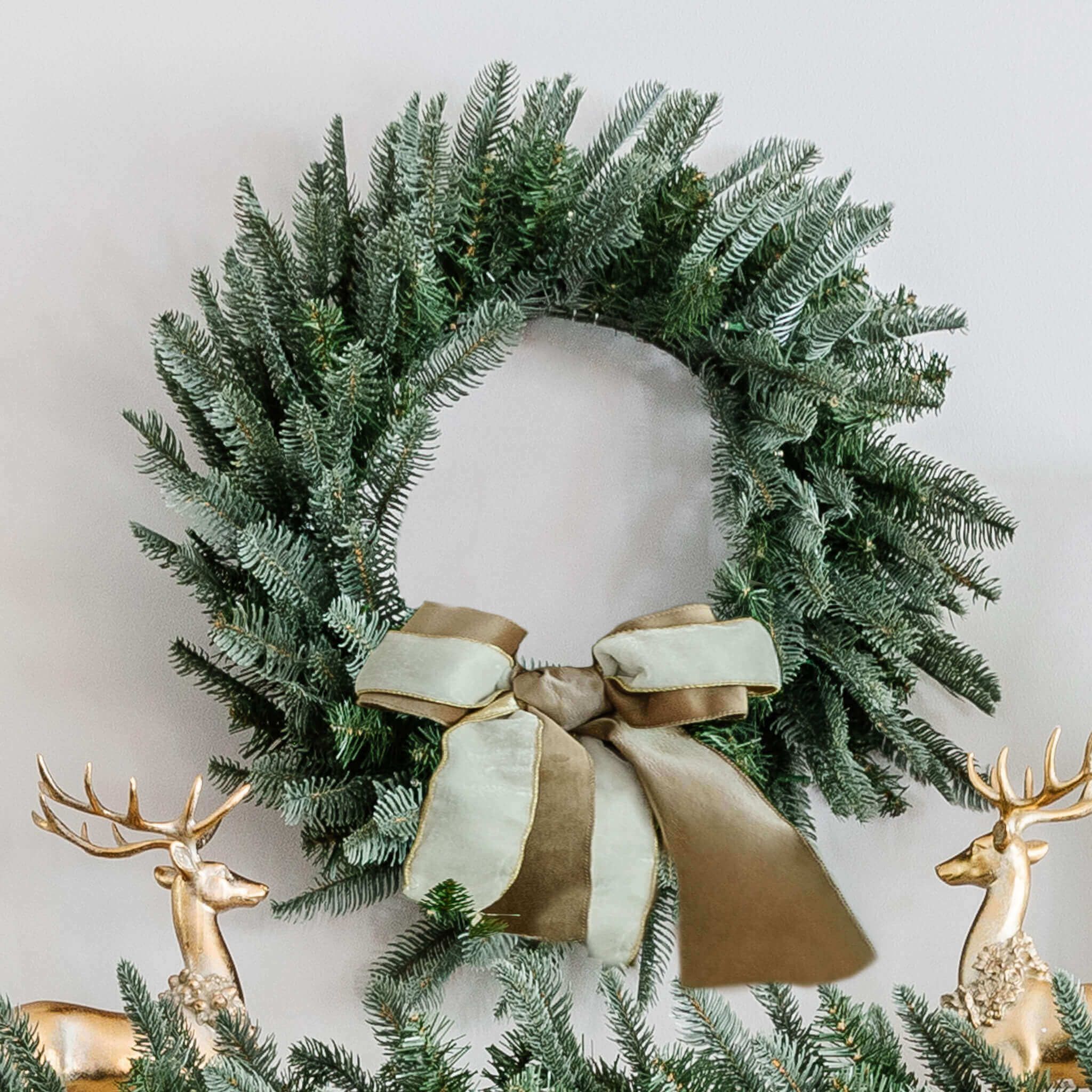 24" King Noble Fir Wreath with Warm White LED Lights (Battery Operated) | King of Christmas