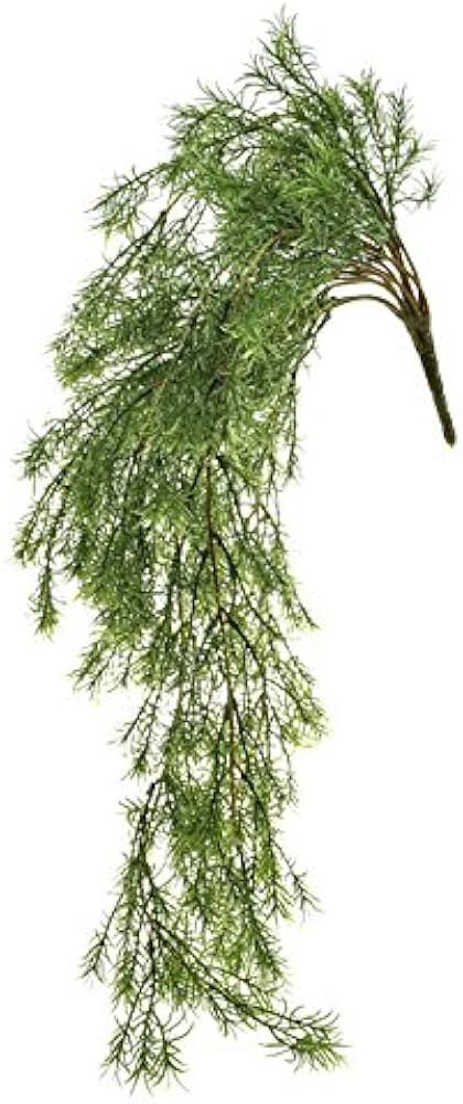 Floristrywarehouse Artificial Springeri Asparagus Fern Trailing 24 Inches | Amazon (US)