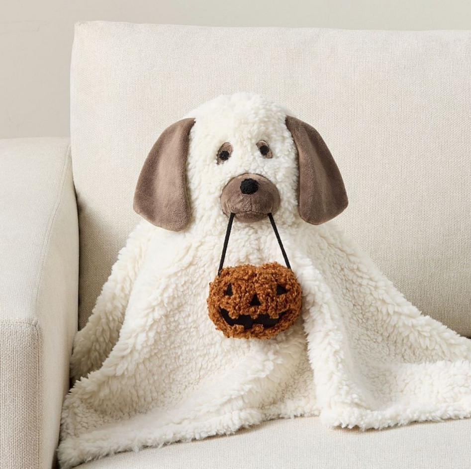 an absolute must have! this fluffy Halloween plush pooch holding a pumpkin trick or treat is something you’ll look forward to bringing out every single year 

#LTKSeasonal #LTKKids #LTKFamily
