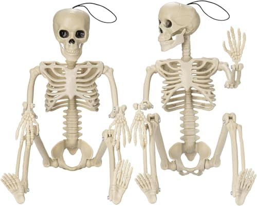 GoClimber 2 Pack Posable Small Halloween Skeleton, 16" Full Body Halloween Skeleton Decor with Mo... | Amazon (US)