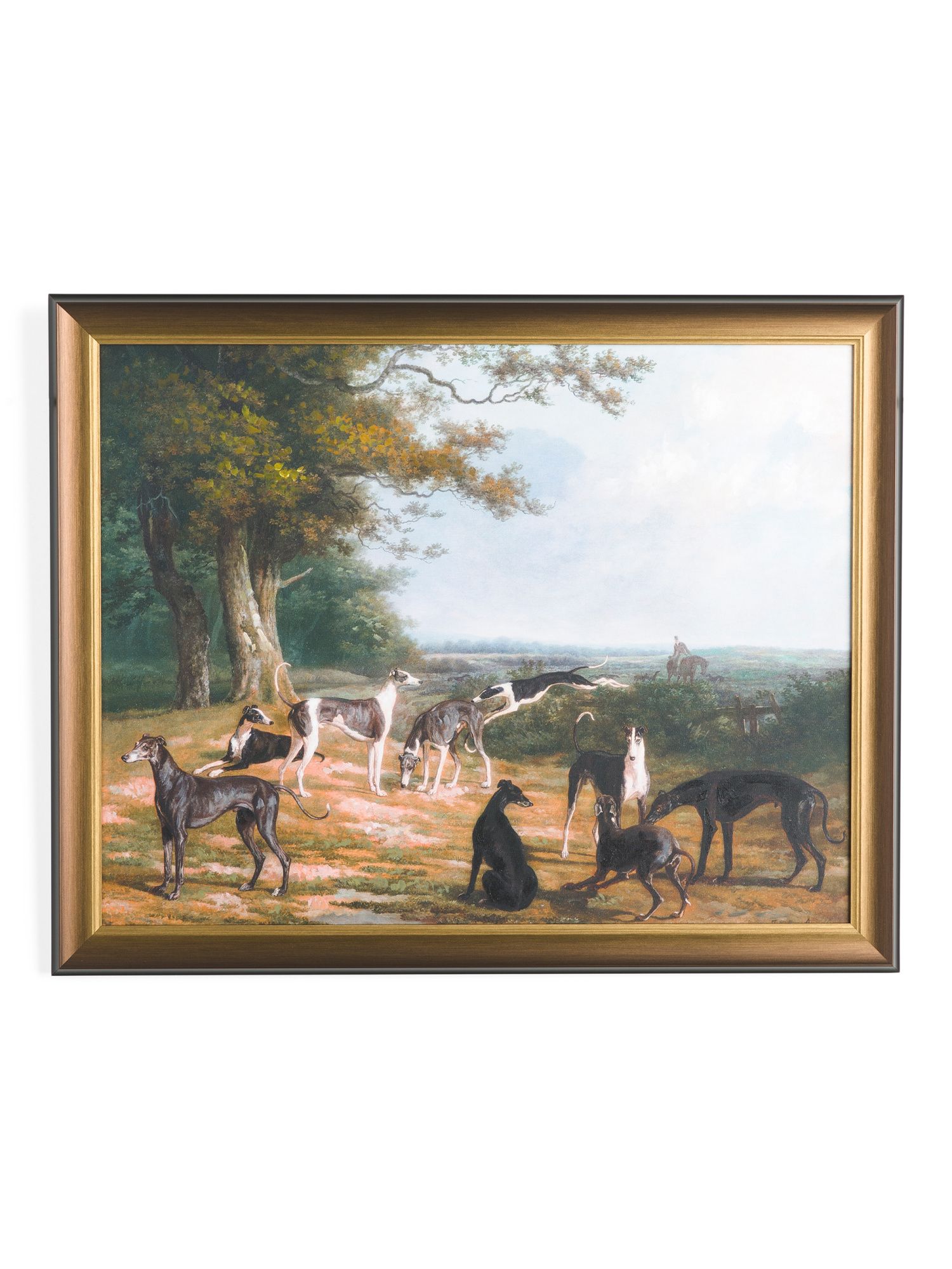 30x24 Nine Greyhounds By Jacques Laurent Agasse Wall Art | TJ Maxx