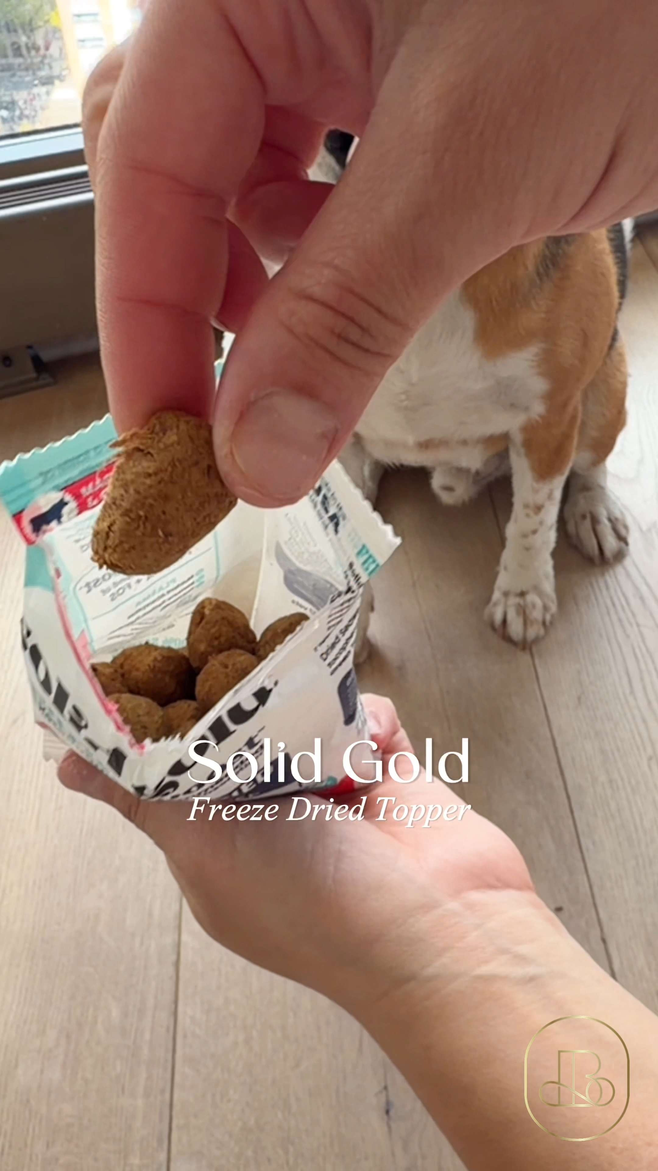 Elevating my pup’s daily nutrition and wellness stack! 🐶 The Solid Gold Freeze Dried Raw Meal Topper is my absolute secret weapon for adding raw, nutrient-dense power to my dog’s diet. It makes every bowl taste incredible for picky eaters, and both guys and girls love how simple it is to use as a tasty daily additive or training treat. Great buy if you want a high-value, highly rated meal mixer that supports long-term digestive and immune health. 🥩 #dogfood #petessentials #dogwellness #healthypets #dogsofLTK #dogmomlife #amazonpet  

#LTKHome