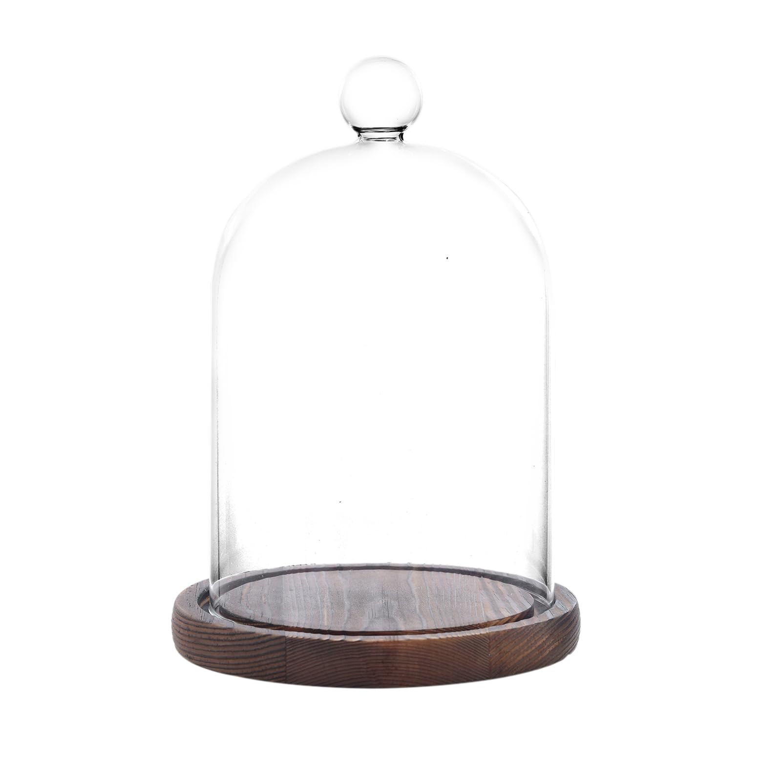 Glass Dome with Base,Glass Cloche Bell Jar,Display Case with Wooden Base for Plants,Collectibles ... | Amazon (US)