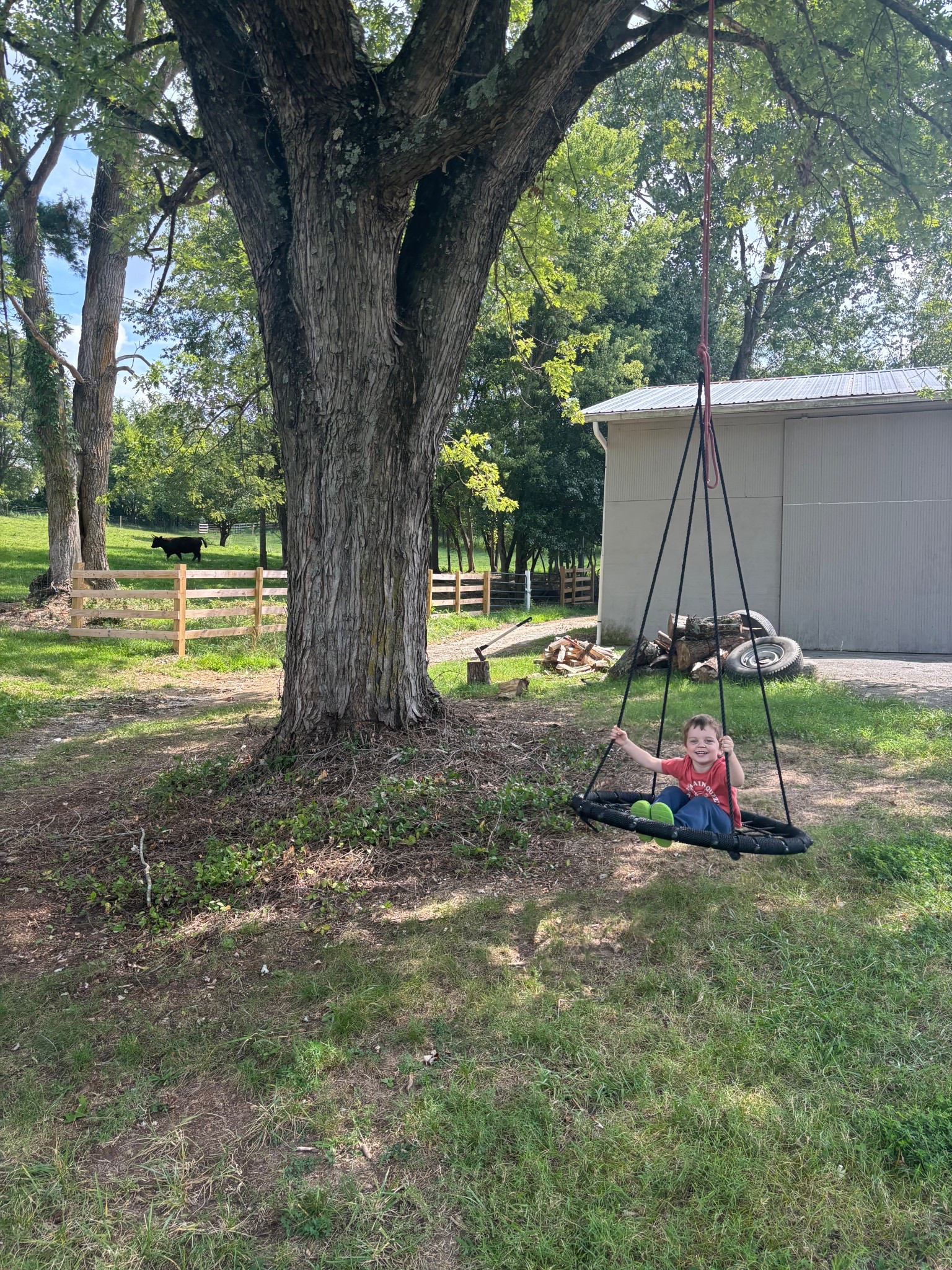 What a backyard. What a childhood. What a sweet boy. Thank you Jesus for this life!

#LTKFamily #LTKActive