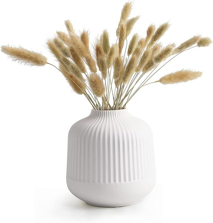 TCIUXYQ Ceramic Vase for Home Decor, White Vases for Dried Flower, Living Room Decoration, Office... | Amazon (US)