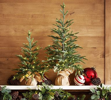 Faux Lit Burlap Potted Pine Tree | Pottery Barn (US)
