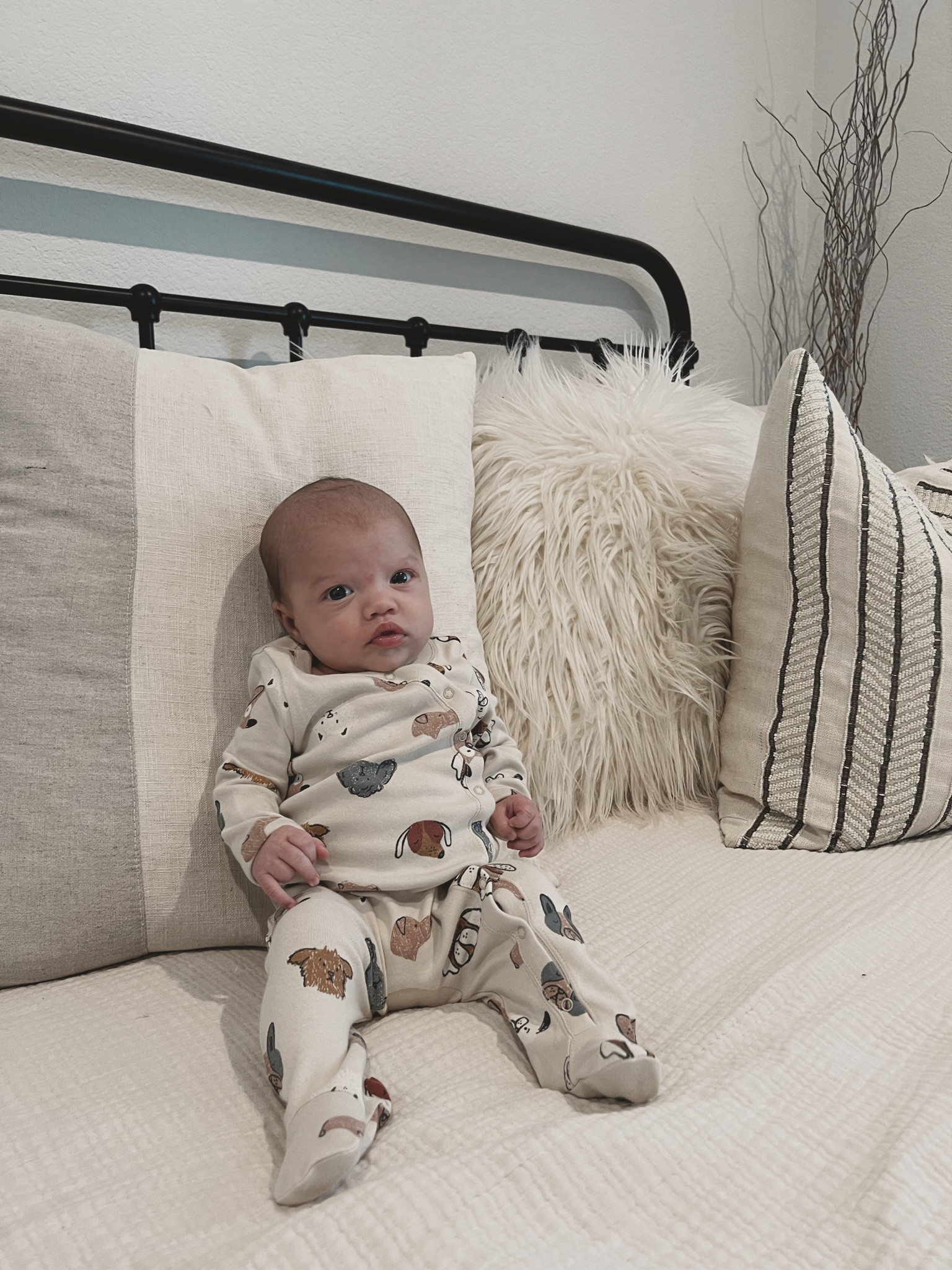 Cutest dog onesie 

#LTKGiftGuide #LTKfindsunder50 #LTKbaby