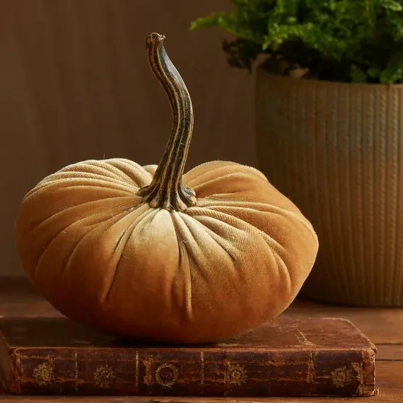 Small Velvet Pumpkin Gold Rustic Decor Modern Farmhouse - Etsy | Etsy (US)