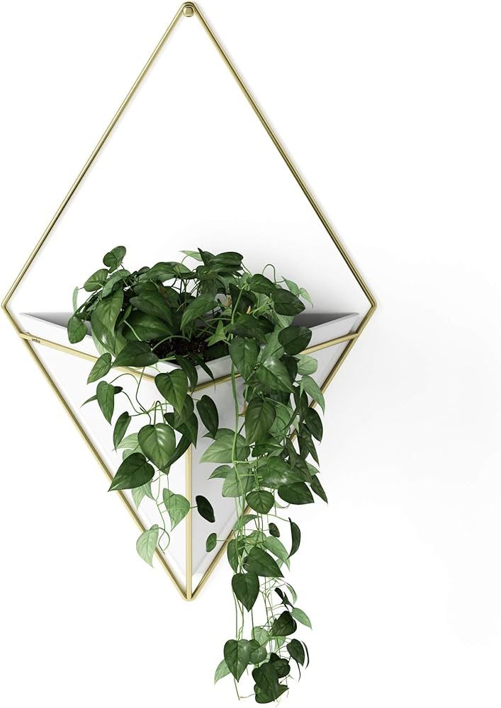 Umbra Trigg Hanging Planter Vase & Geometric Wall Decor Ceramic Container - Great For Succulent P... | Amazon (US)