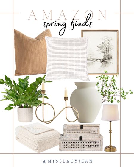 Amazon home finds include throw pillows, wall art, vase, wireless lamp, greenery stem, candelabra, throw blanket, and faux plant.

Home decor, spring finds, home accents, neutral home

#LTKstyletip #LTKhome #LTKfindsunder100