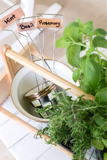 Growing your herb garden in style this spring! These adorable little herb pots are also perfect to add to your bar cart for fresh herbs in your mocktails and cocktails 

#LTKSeasonal #LTKhome #LTKparties