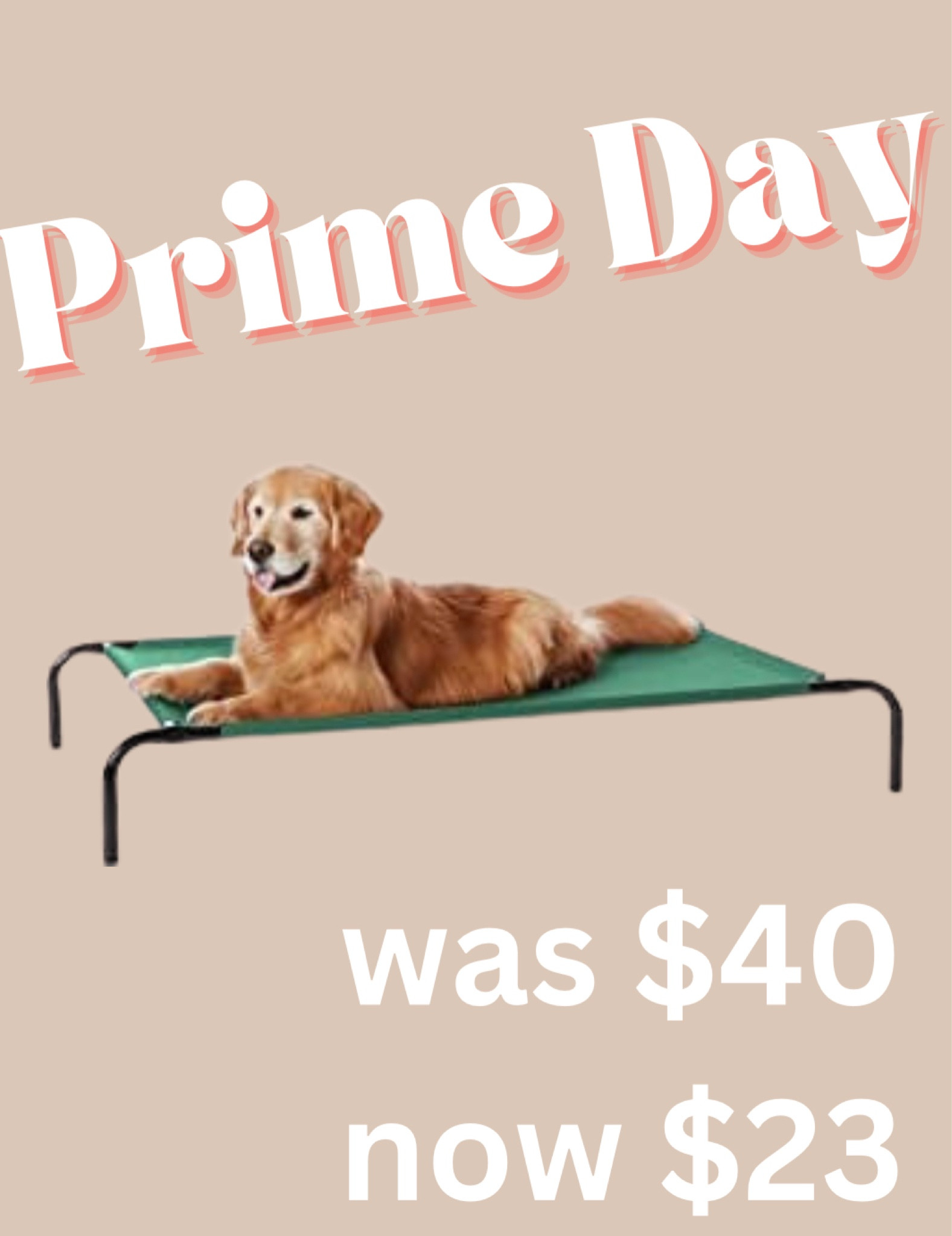 Amazon prime day deals 2023 

| amazon prime day, amazon deals, prime day deals, prime day 2023, Christmas in July, sales, daily deals, amazon finds, lightening deals | 
Pets, pet deals, pet sales, dog bed, outdoor pet bed, deals for dogs, cooling pet bed 

#LTKhome #LTKxPrimeDay #LTKunder50