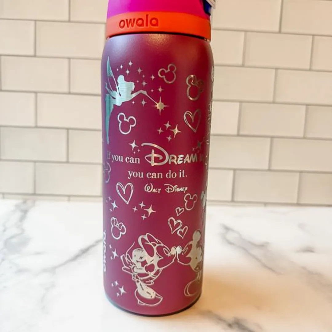 Magic Kingdom Owala - Mouse Owala - Vacation Owala | Etsy (US)