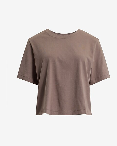 Crew Neck Short Sleeve Cropped Boyfriend Tee | Express