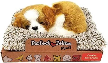 Perfect Petzzz Baby Cavalier King Charles Puppy Dog, Tan | Amazon (US)