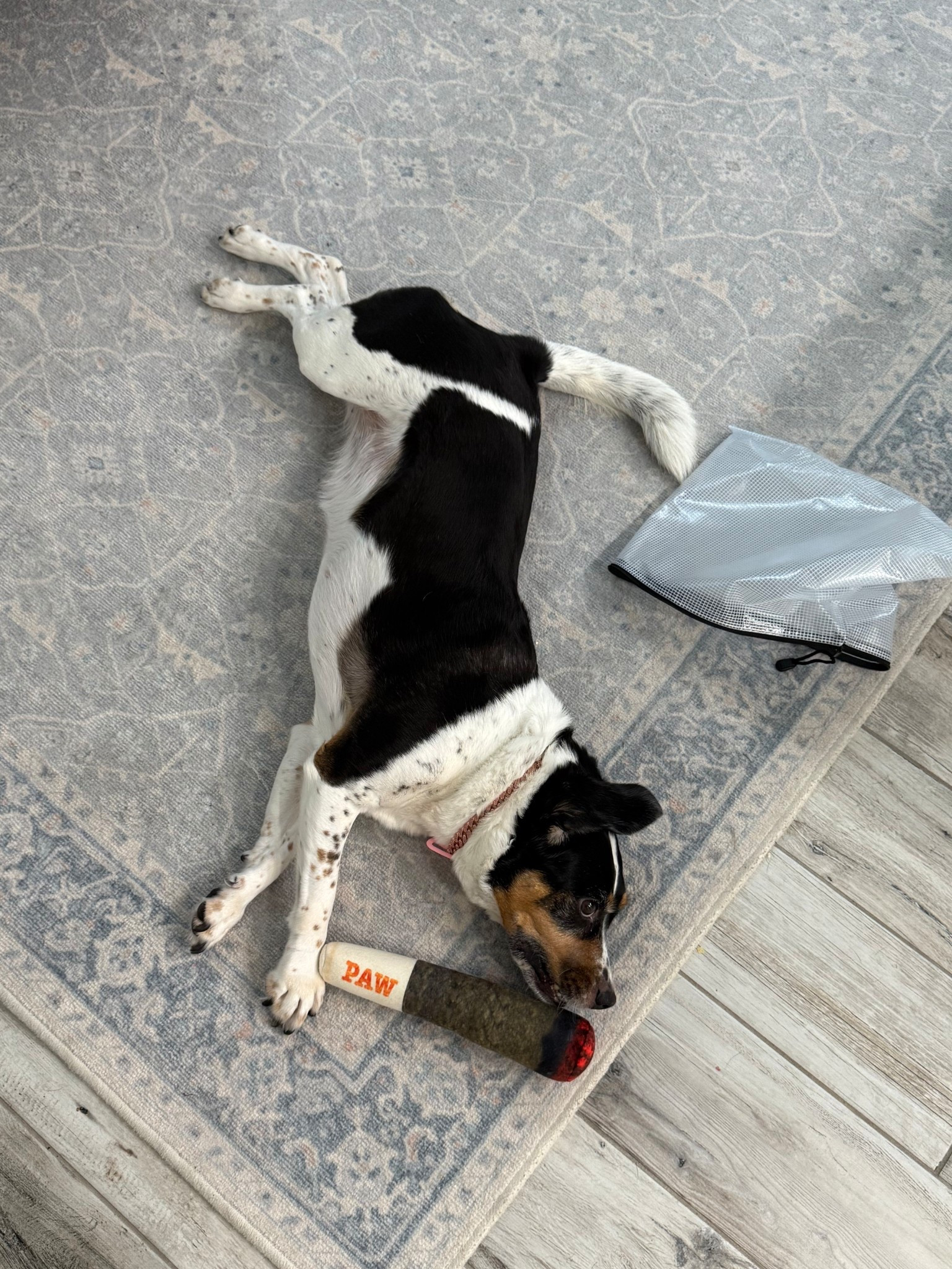 It was a need 🍃💨

#LTKFamily #LTKSeasonal #LTKHome