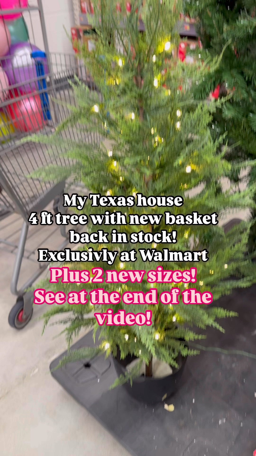 My Texas house Walmart 4 foot potted Christmas tree. This will also be available in 7’ and 9’ mid September!

#ltkseasonal #ltkfindsunder50 #ltkstyletip

#Christmastree #mytexashouse #viralchristmastree #walmartchristmas #christmasdecor #christmastime #christmascountdown