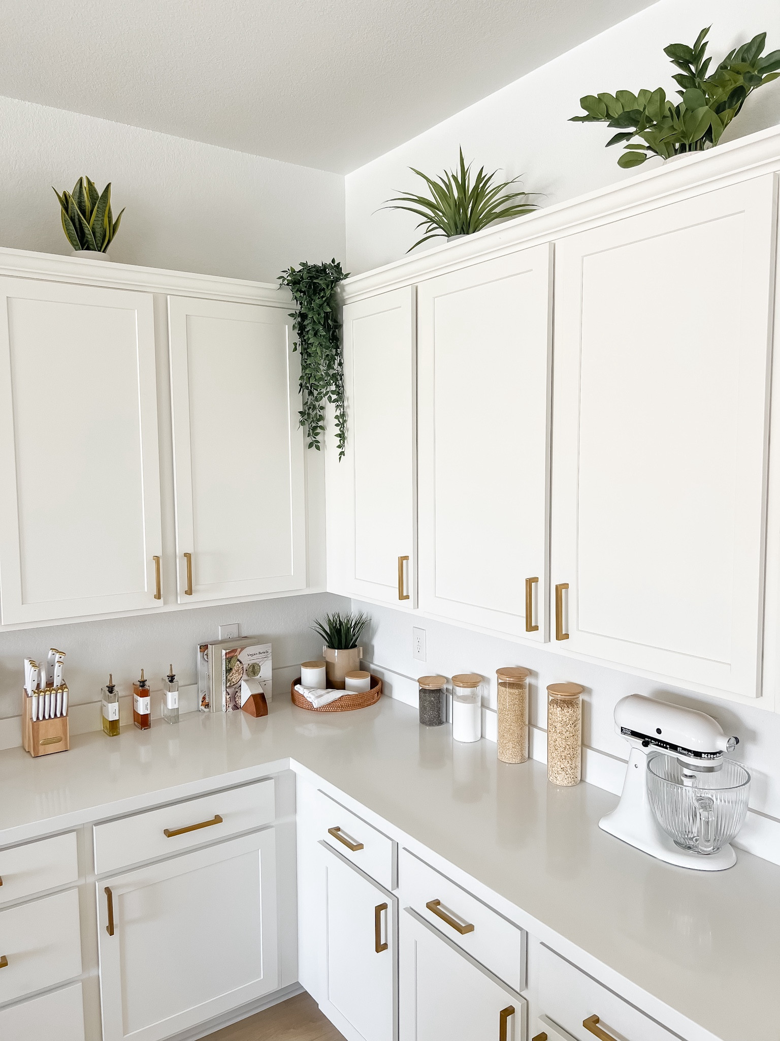 The best faux plants for decorating above kitchen cabinets +  my kitchen countertop decor

// plants above kitchen cabinets, how to decorate above kitchen cabinets, empty space above kitchen cabinets, above kitchen cabinet decor, above kitchen cabinet decor ideas, kitchen counter top decor, kitchen decor, kitchen must haves, Amazon home, home decor, Amazon finds, Amazon must haves, kitchen gadgets

#LTKStyleTip #LTKHome #LTKFindsUnder50