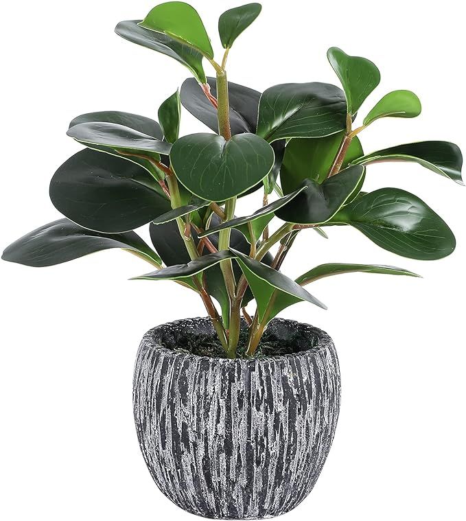 Artificial Potted Plants, Real Looking Fiddle Leaf Fake Plant with Pot, Plastic Watercress Leaves... | Amazon (US)