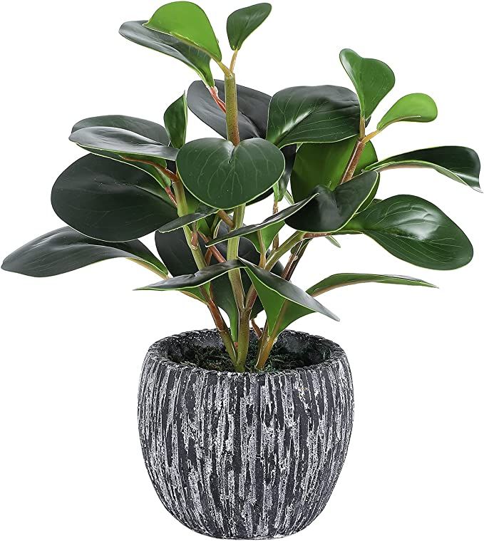 Artificial Potted Plants, Real Looking Fiddle Leaf Fake Plant with Pot, Plastic Watercress Leaves... | Amazon (US)