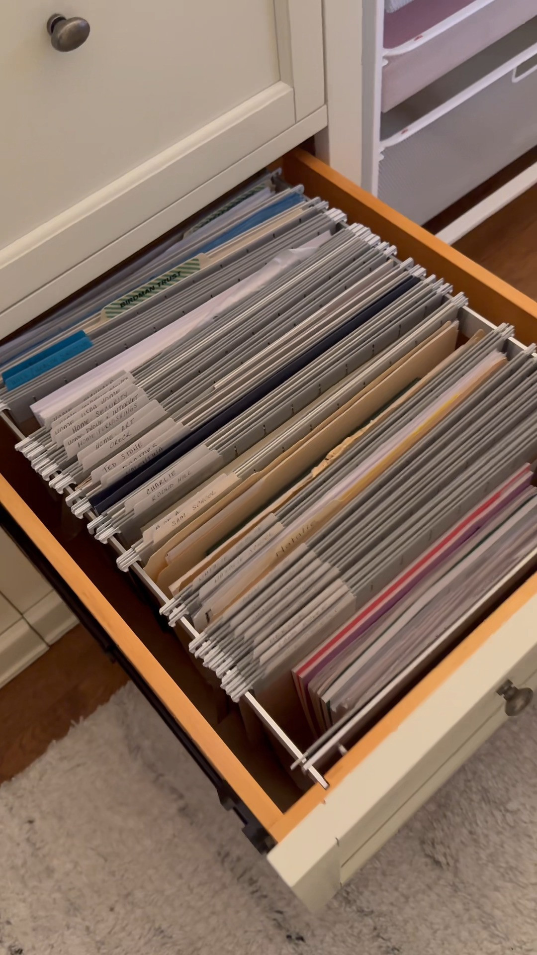 Organizing the paper in my office - Part 2!

I already had my home office as a part of my 2025 decluttering agenda, that included finally going through my two file drawers, which hadn't been touched in about 3 years. In light of the devastating wildfires in So Cal, this quickly jumped my list. I'm sharing my pro grade scanner in this post as well.

More to come in this series, including a close up view into HOW I scan and digitally organize my files.

 

 #LTKWatchNow #LTKHome #LTKFamily