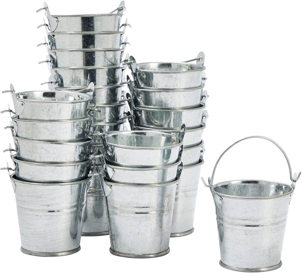 24 Pack Mini Metal Buckets with Handles for Party Favors, Small Galvanized Tin Pails (2 x 2 in) | Amazon (US)