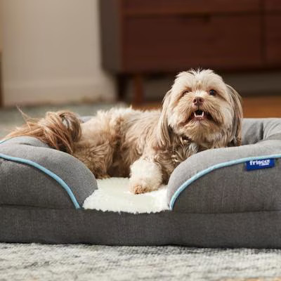 Frisco Plush Orthopedic Front Bolster Cat & Dog Bed w/Removable Cover, Gray, Small | Chewy