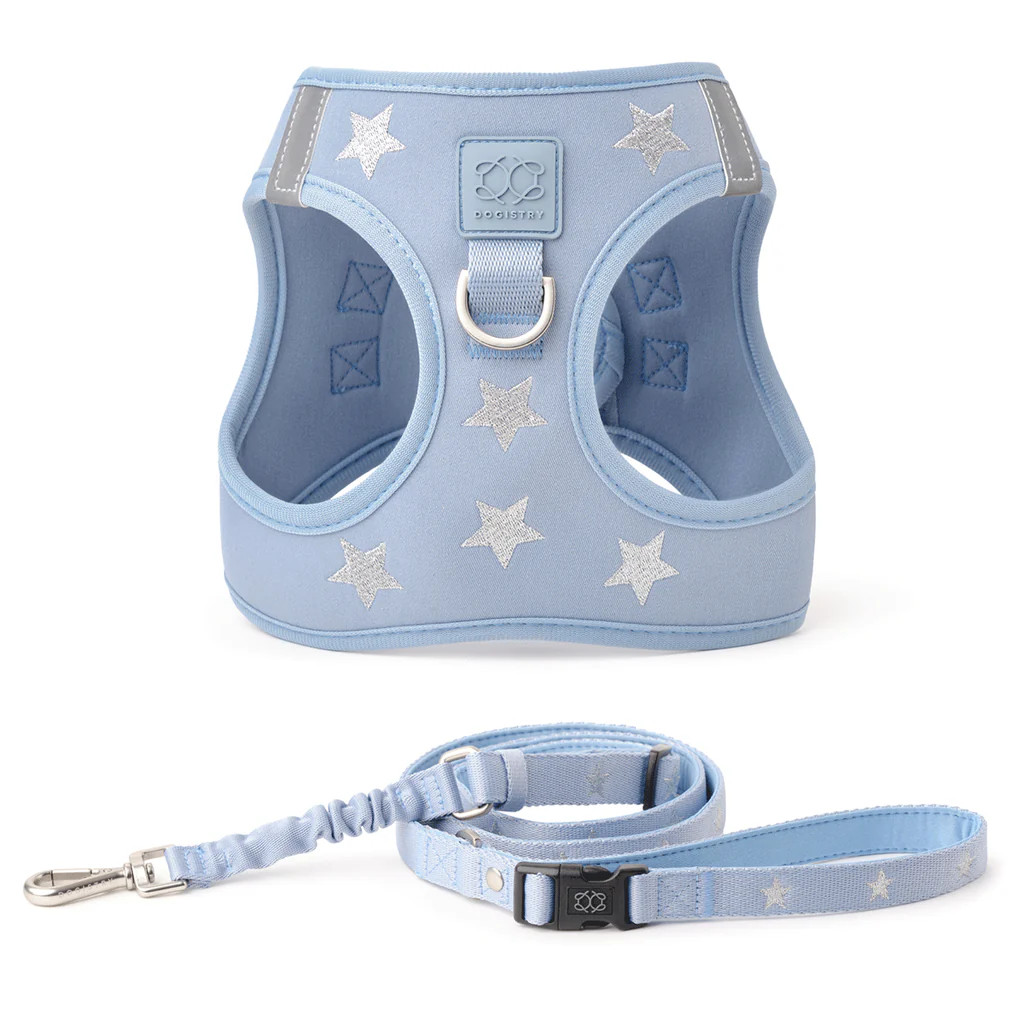City Leash Set - Rockstar Hudson | DOGISTRY