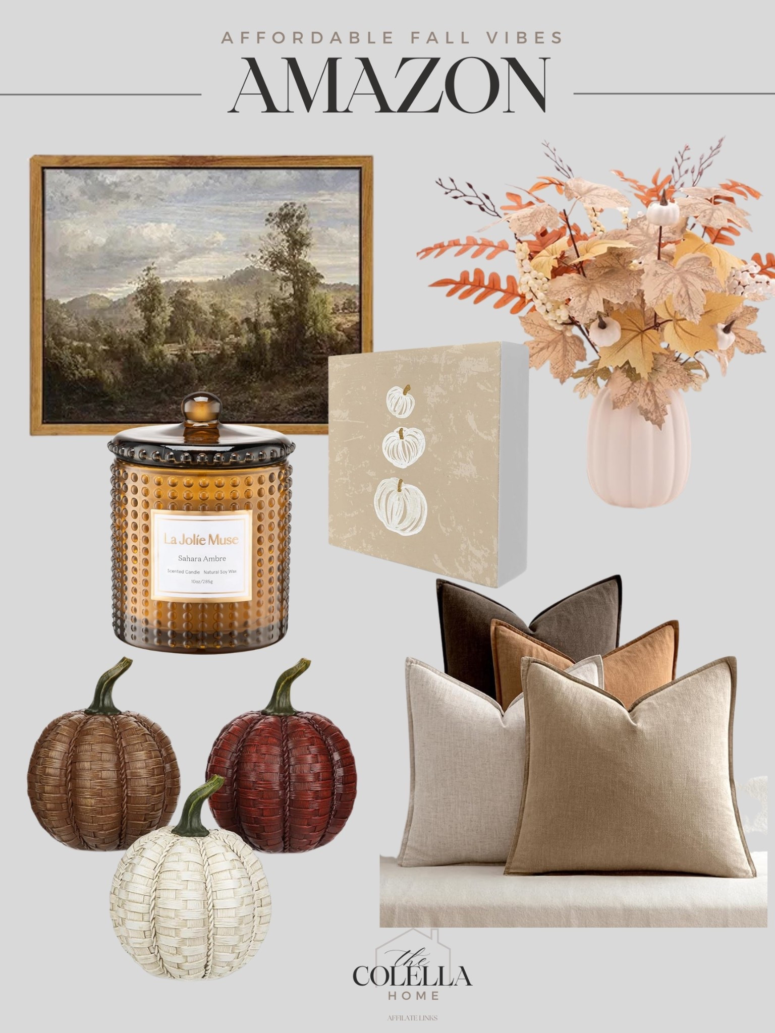 Affordable Fall Home Decor

#LTKHome #LTKFindsUnder50 #LTKStyleTip