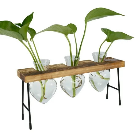 Relax love Glass Planter Bulb Vase Desktop Glass Planter Plant Terrarium with Wooden Holder Minimali | Walmart (US)