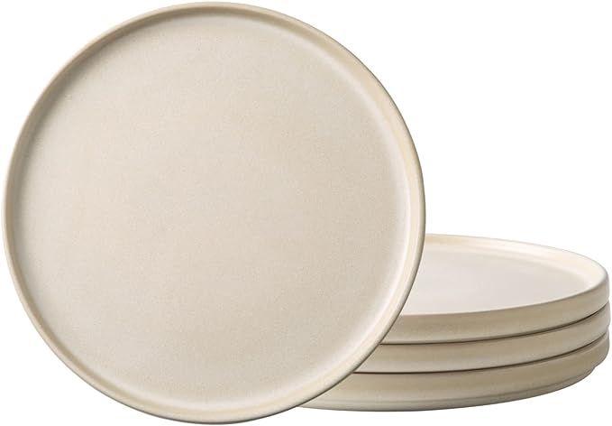 AmorArc Ceramic Dinner Salad Plates Set of 4, 8.0 Inch Reactive Matte Glaze Dish Set, Dessert,Sal... | Amazon (US)
