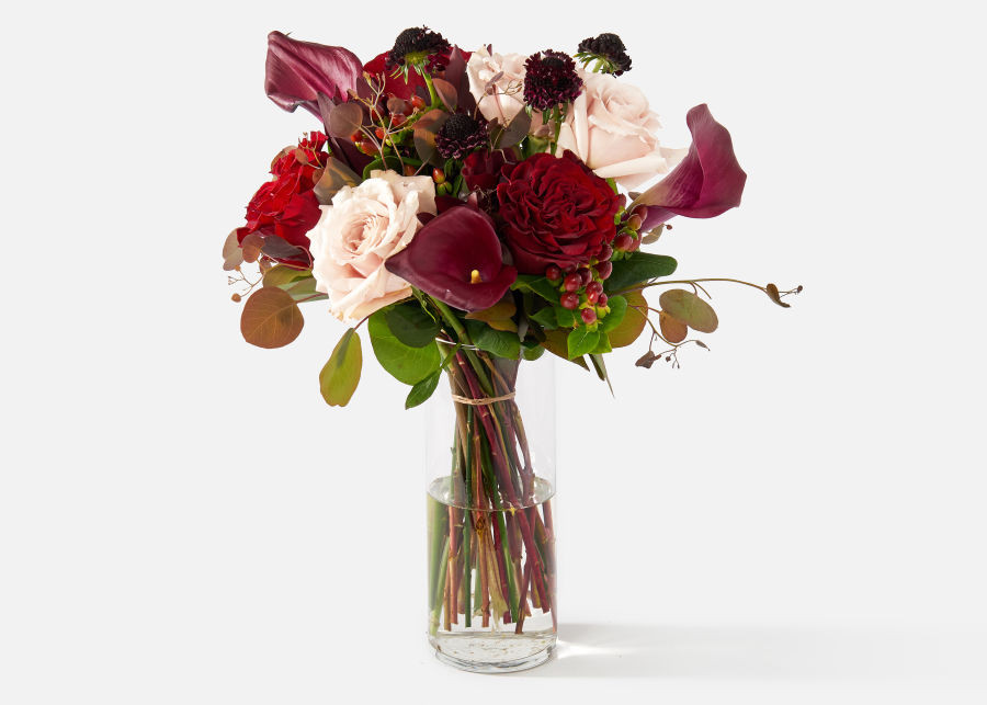 The Briar | UrbanStems
