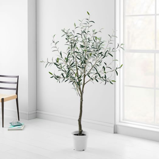 Faux Potted Green Olive Tree - 6' | West Elm (US)