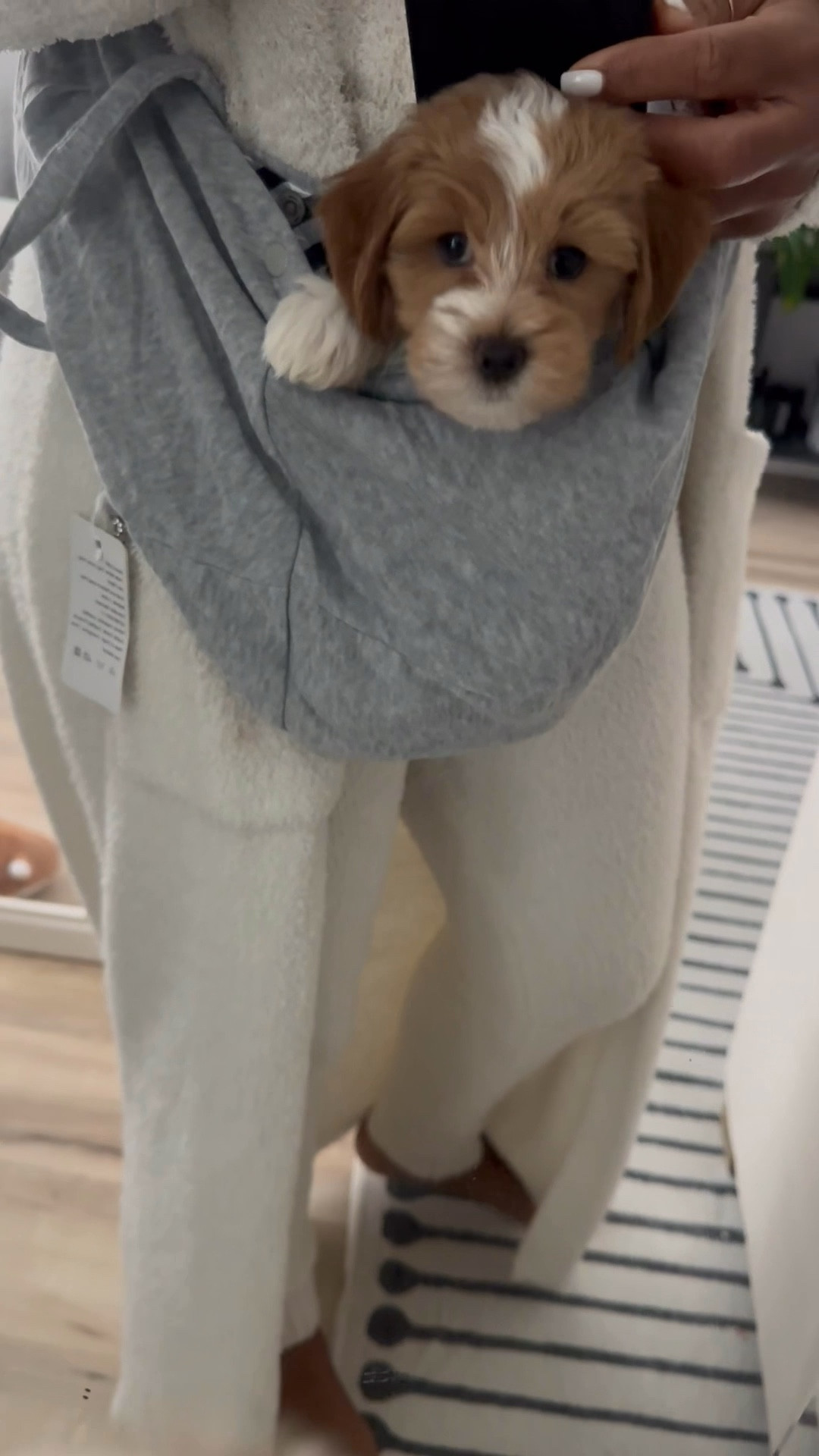 I'm trying to cook breakfast and he wants to play 🥹🐾 so now we chefing together with this dog sling bag.

#DogMomEra #xoJalonda #PetEssentials #PetMustHaves #DogSlingBag

#LTKHome #LTKmomlife #LTKBaby