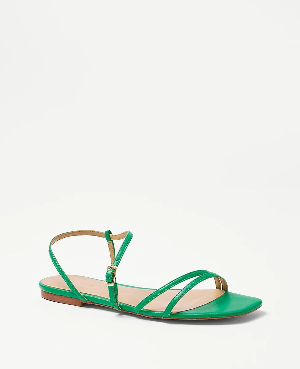 Leather Strappy Flat Sandals | Ann Taylor (US)