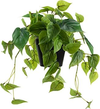 LuckyGreenery Artificial Scindapsus Aureus, Realistic Fake Plant with Plastic Pot for Home Office... | Amazon (US)
